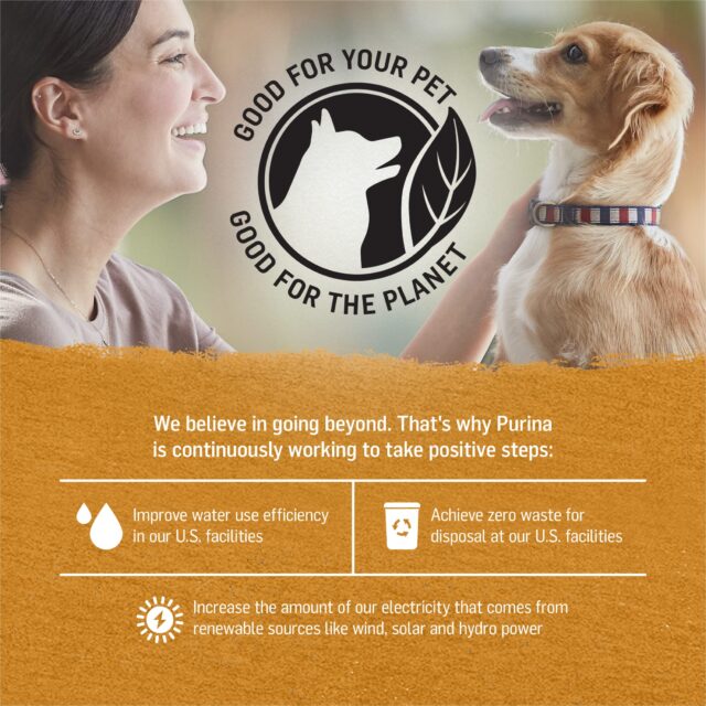 Purina Beyond Grani-Free Wet Dog Food in Gravy Soft Chicken & Sweet Potato, 12.5 oz Cans (12 Pack) - Image 3