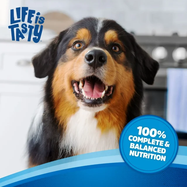 Kibbles 'n Bits Original Savory Beef & Chicken Flavors Dry Dog Food - Image 8