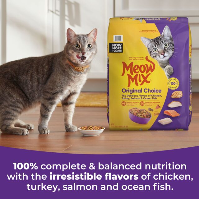 Meow Mix Original Choice Dry Cat Food - Image 4