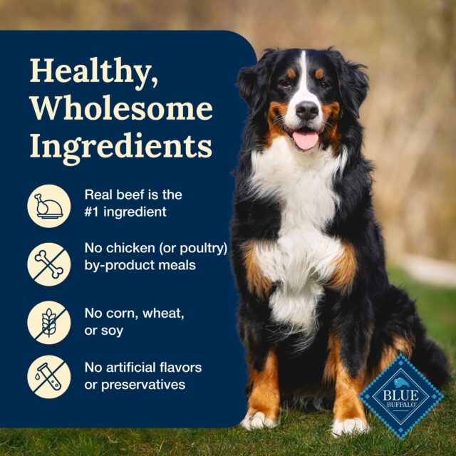 Blue Buffalo Delectables Natural Wet Dog Food Toppers, Hearty Beef, 3-oz Pouch - Image 4