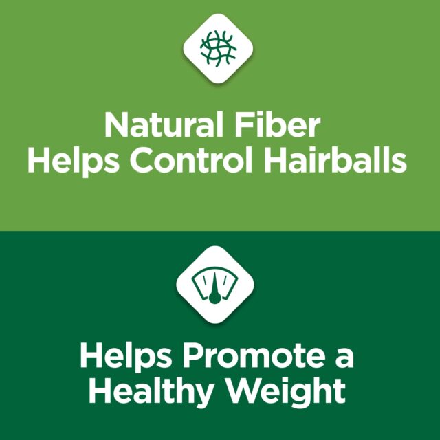 Purina Cat Chow Hairball & Healthy Weight, Indoor Dry Cat Food - Image 2