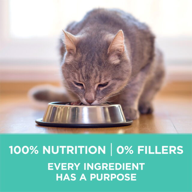 Purina ONE Plus, Sensitive Skin & Stomach, Dry Cat Food, Turkey - Image 7