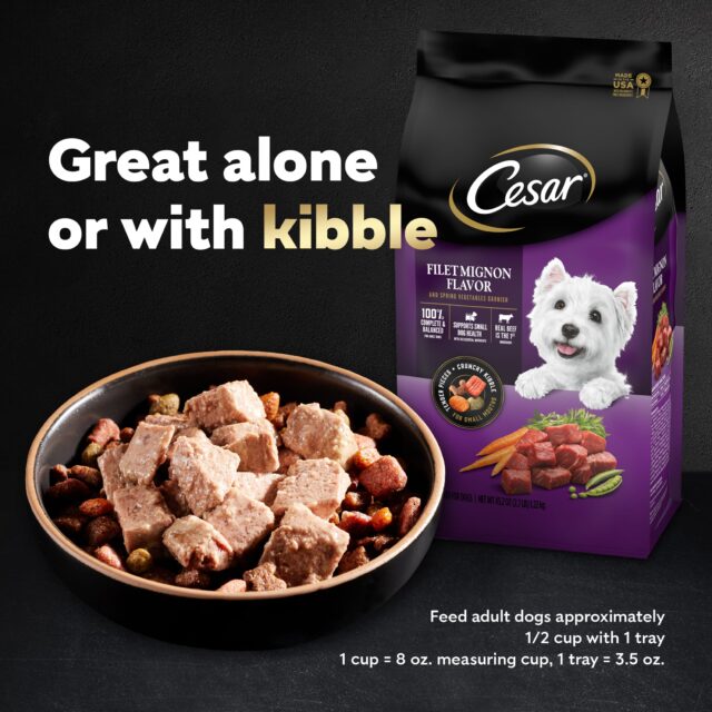Cesar Wet Dog Food Variety Pack, 3.5 Oz Trays (24 Pack) - Image 5