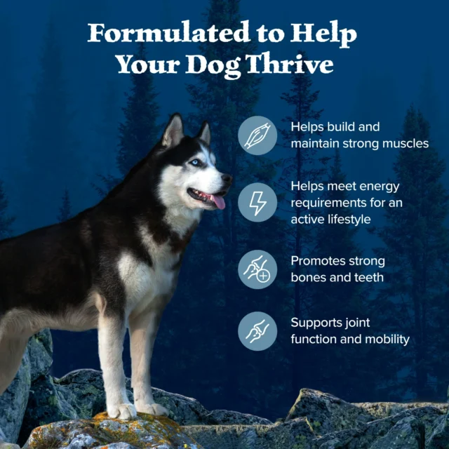 Blue Buffalo Wilderness Adult High-Protein Dry Dog Food, Chicken Plus Wholesome Grains - Image 5