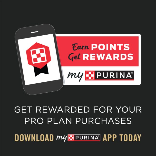 Purina Pro Plan Pate High Protein Wet Cat Food Complete Essentials Tuna Entree in Sauce - Image 6