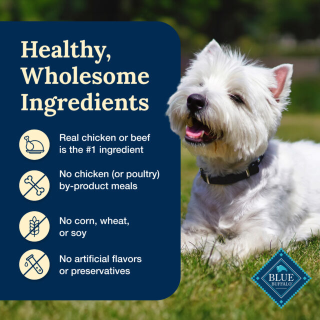 Blue Buffalo Delectables Natural Wet Dog Food Topper Variety Pack, Lamb & Turkey Dinner 3oz (12 Pack - 6 of Each Flavor) - Image 4