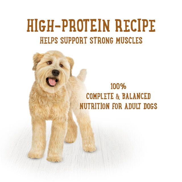 (6 Pack) Purina Beneful High Protein, Gravy Wet Dog Food Variety Pack, Prepared Meals Stew, 10 oz. Tubs - Image 3