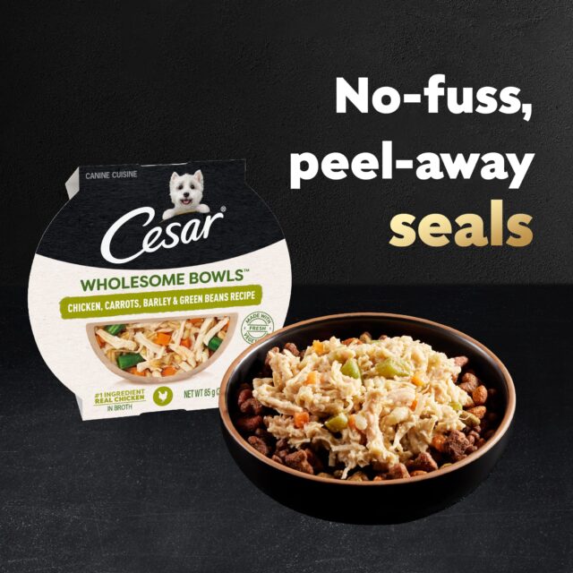 CESAR WHOLESOME BOWLS Chicken, Carrots, Barley & Green Beans Wet Dog Food Toppers, 3 oz. Bowl - Image 3