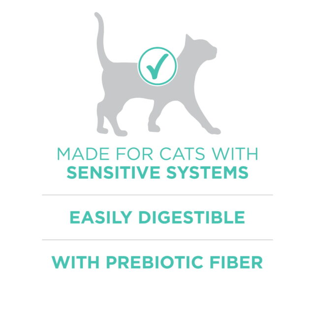 Purina ONE Plus, Sensitive Skin & Stomach, Dry Cat Food, Turkey - Image 4