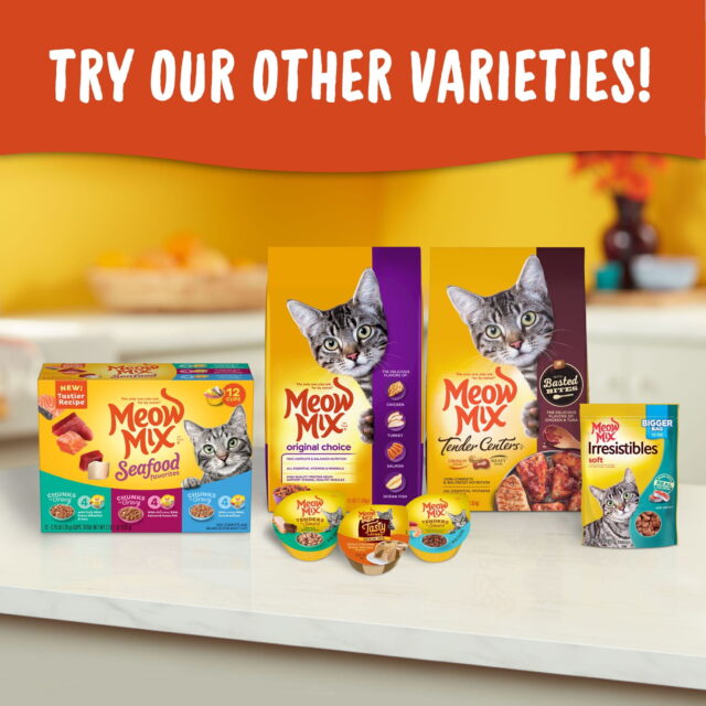 Meow Mix Original Choice Dry Cat Food - Image 6
