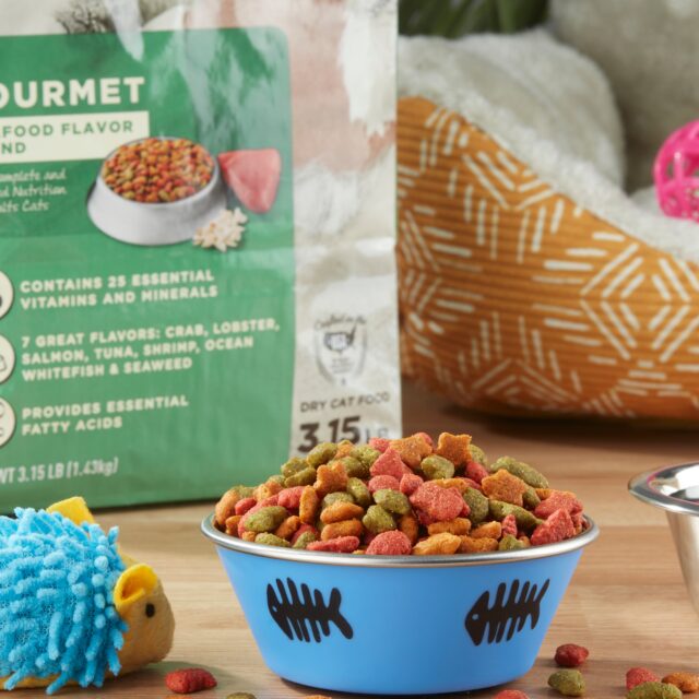 Special Kitty Gourmet Formula Seafood Blend Flavor Dry Cat Food - Image 3
