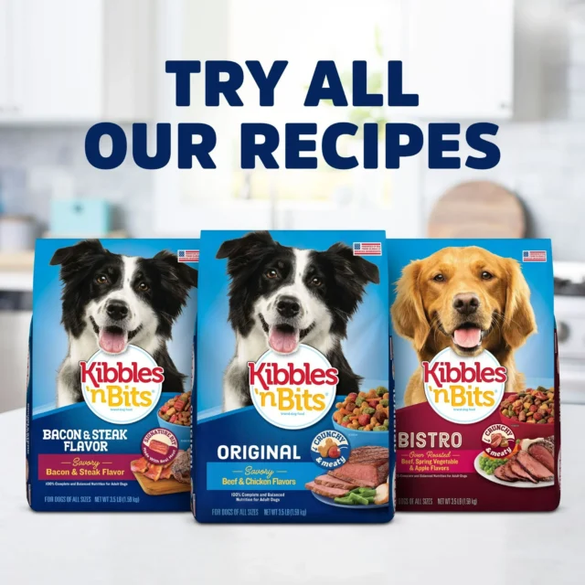 Kibbles 'n Bits Original Savory Beef & Chicken Flavors Dry Dog Food - Image 9