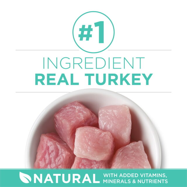 Purina ONE Plus, Sensitive Skin & Stomach, Dry Cat Food, Turkey - Image 3