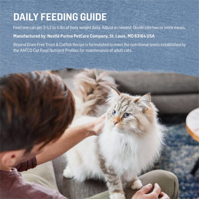 Purina Beyond, Grain Free Natural Trout & Catfish, Wet Cat Food, 3 oz. Cans, 12 Pack - Image 3