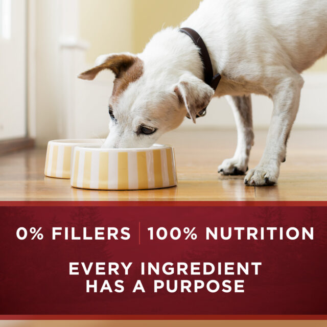 Purina ONE True Instinct Natural Wet Dog Food, High Protein Soft Variety Pack, 13 oz Cans (6 Pack) - Image 7
