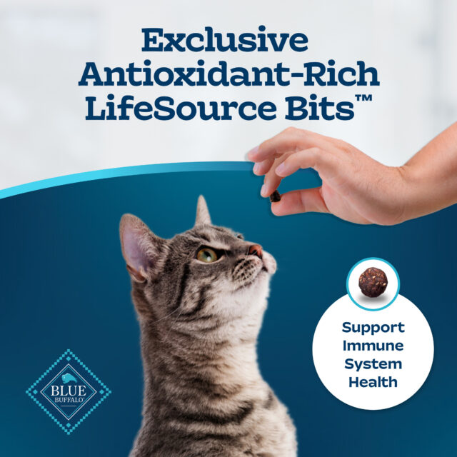 Blue Buffalo Tastefuls Dry Food, Adult Indoor Cat, Salmon and Brown Rice - Image 7