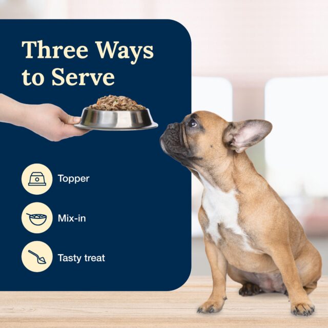 Blue Buffalo Delectables Natural Wet Dog Food Toppers, Hearty Beef, 3-oz Pouch - Image 3
