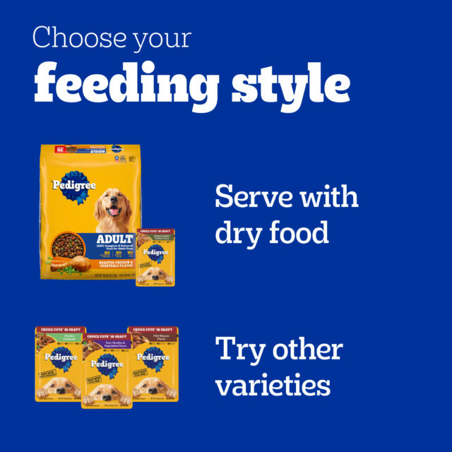 Pedigree Choice Cuts In Gravy Adult Soft Wet Dog Food Variety Pack, 3.5 Oz Pouches (18 Pack) - Image 8