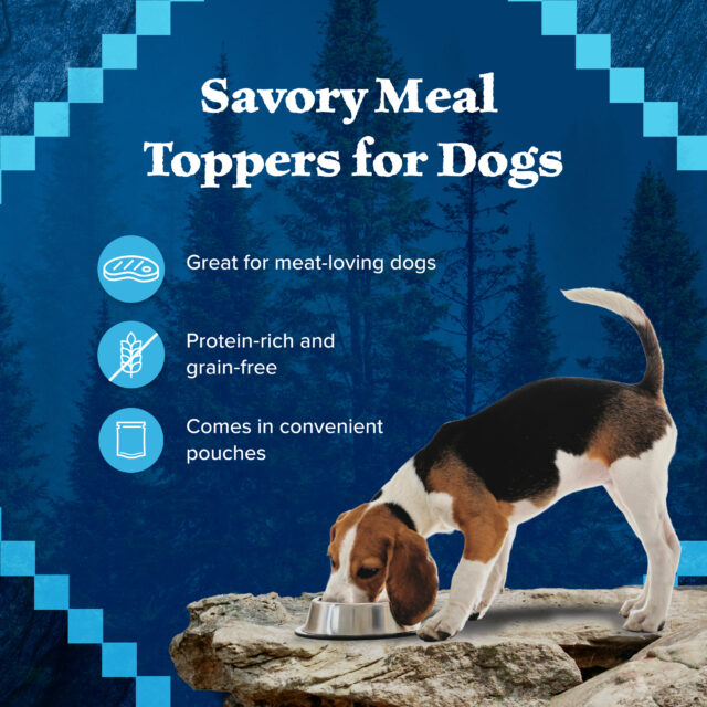 Blue Buffalo Wilderness Wild Cuts Wet Dog Food Toppers, Chicken & Beef, 3-oz. (12 Count) - Image 3