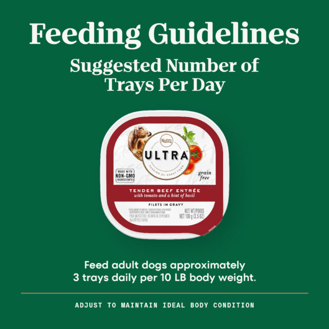 Nutro Ultra Grain Free Adult Wet Dog Food, Filets In Gravy, Beef With Tomato, (24) 3.5 Oz. Trays - Image 5