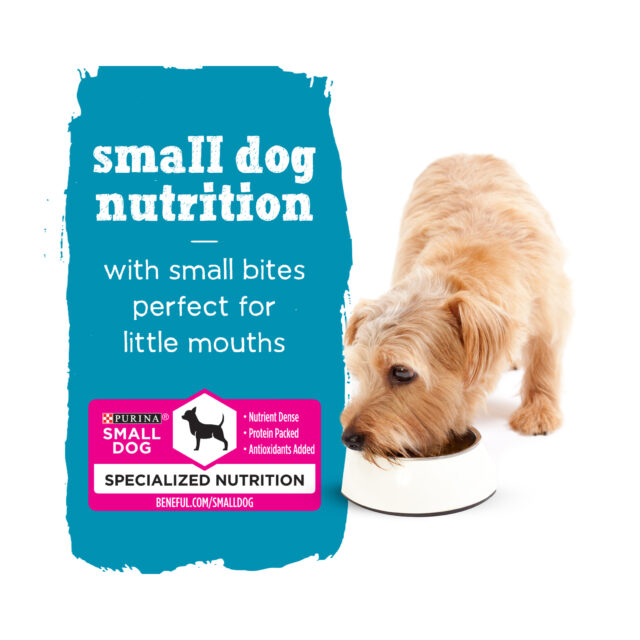 Purina Beneful IncreditBites Small Wet Dog Food Soft Chicken, Beef & Salmon, 3 oz Cans (12 Pack) - Image 4