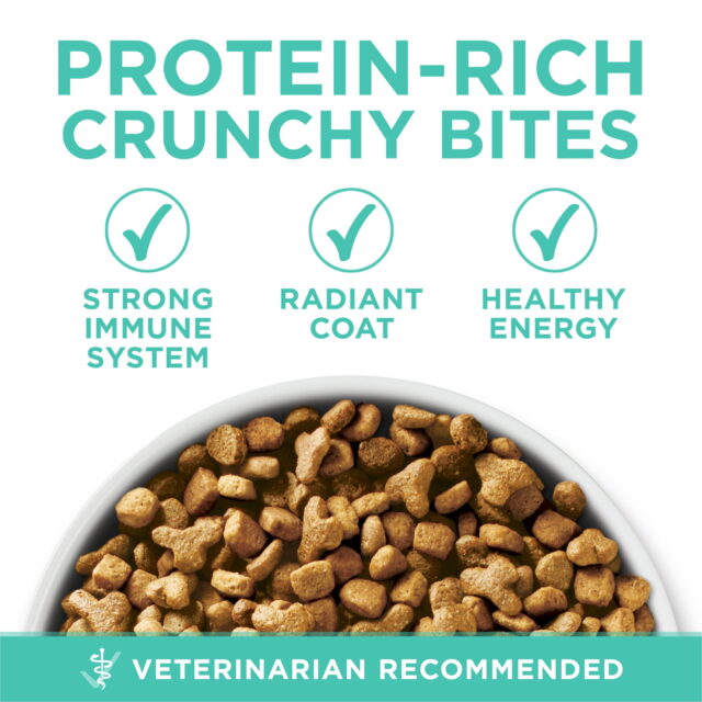 Purina ONE Plus, Sensitive Skin & Stomach, Dry Cat Food, Turkey - Image 2