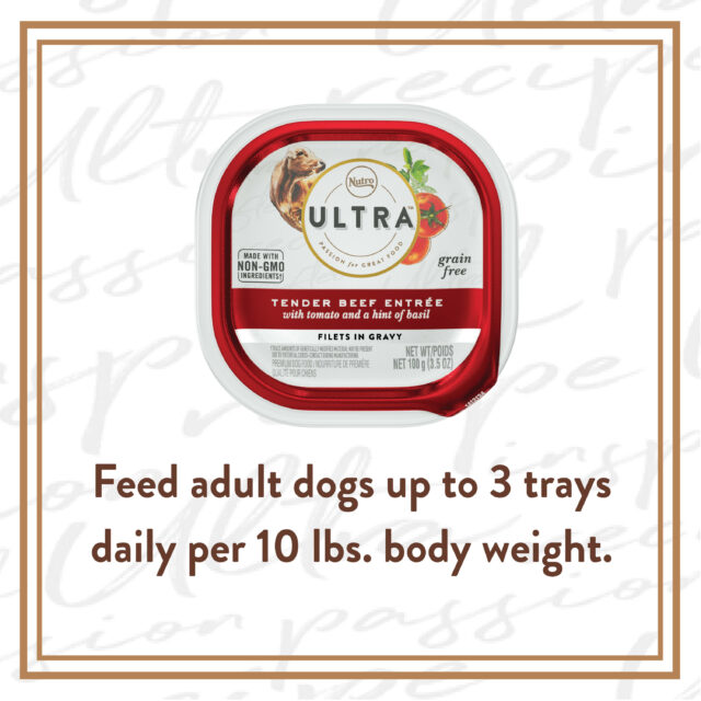 Nutro Ultra Grain Free Adult Wet Dog Food, Filets In Gravy, Beef With Tomato, (24) 3.5 Oz. Trays - Image 4