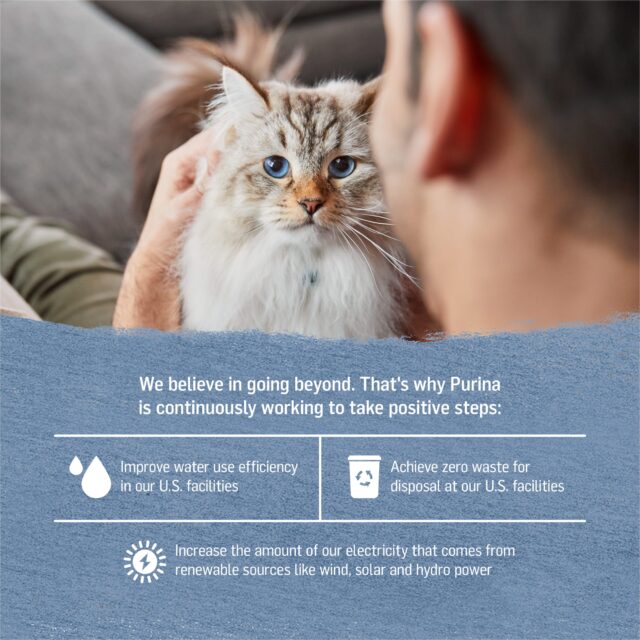 Purina Beyond, Grain Free Natural Trout & Catfish, Wet Cat Food, 3 oz. Cans, 12 Pack - Image 5