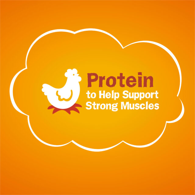 Purina Friskies Tender & Crunchy, Indoor Dry Cat Food, Chicken & Beef - Image 6