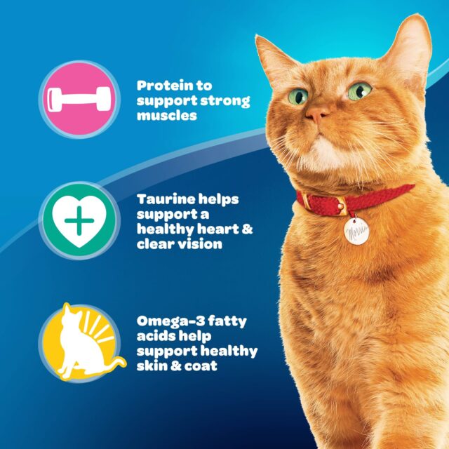 9Lives Daily Essentials Dry Cat Food - Image 3