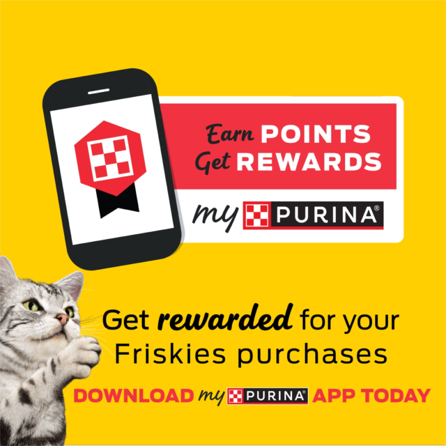 Purina Friskies Pate Seafood Favorites Variety Pack, Wet Cat Food, 5.5 oz Cans, 32 Pack - Image 3