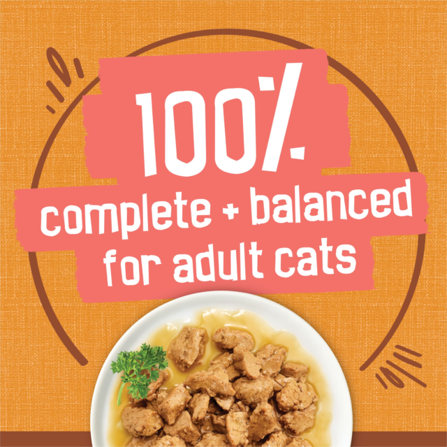(12 pack) Purina Friskies Extra Gravy Chunky, Soft Chicken, Wet Cat Food, 5.5 oz Can - Image 6