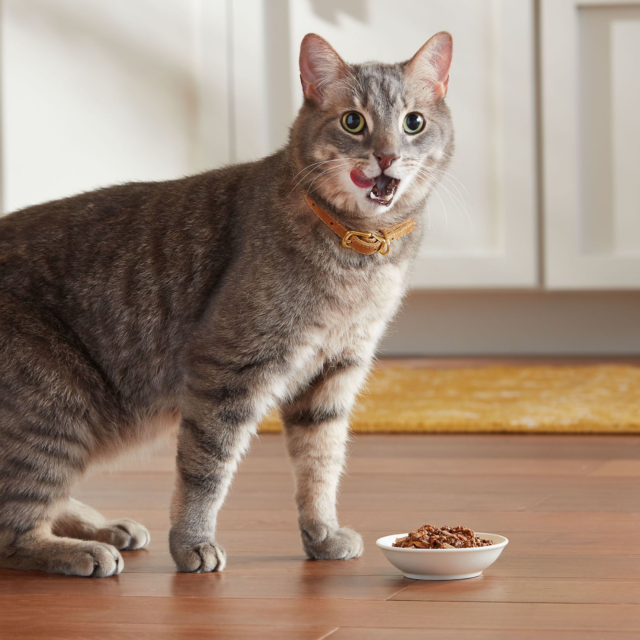 Meow Mix Tender Favorites Poultry & Beef Variety Pack Wet Cat Food, 24 Cups - Image 9