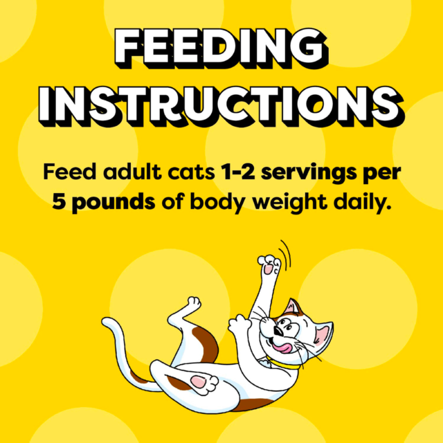 (24 pack) Temptations Tasty Chicken Flavor Bites in Gravy Wet Cat Food, 3.5 oz. Tray - Image 7