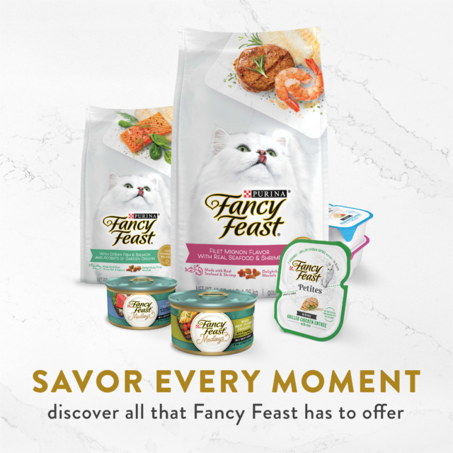 Purina Fancy Feast Broths & Appetizers Kitten Food, Wet Cat Food, Complement Collection, 12 Pack - Image 3