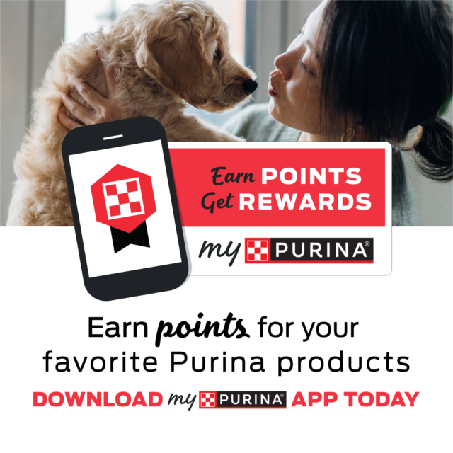 Purina Puppy Chow Dry Dog Food for Large Breeds, High Protein Growth with Chicken, 30 lb Bag - Image 8