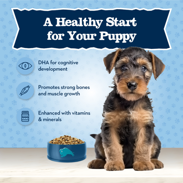 Blue Buffalo Baby BLUE Healthy Growth Puppy Dry Food, Chicken - Image 9
