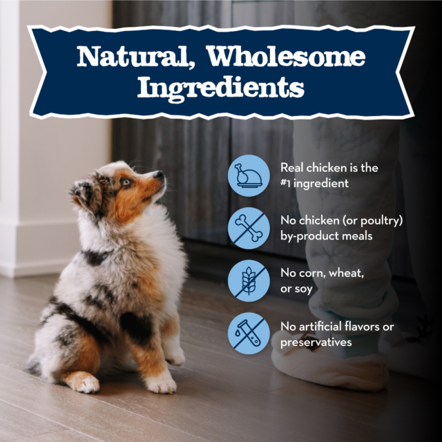 Blue Buffalo Baby BLUE Healthy Growth Puppy Dry Food, Chicken - Image 7