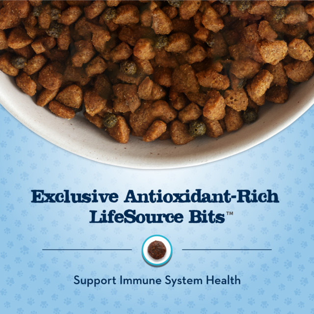 Blue Buffalo Baby BLUE Healthy Growth Puppy Dry Food, Chicken - Image 6