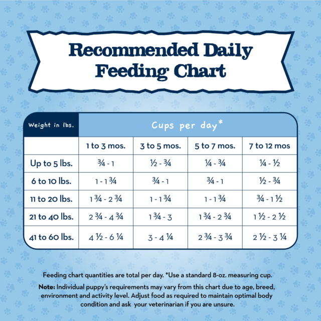 Blue Buffalo Baby BLUE Healthy Growth Puppy Dry Food, Chicken - Image 3