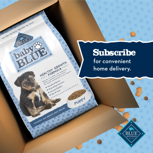 Blue Buffalo Baby BLUE Healthy Growth Puppy Dry Food, Chicken - Image 2