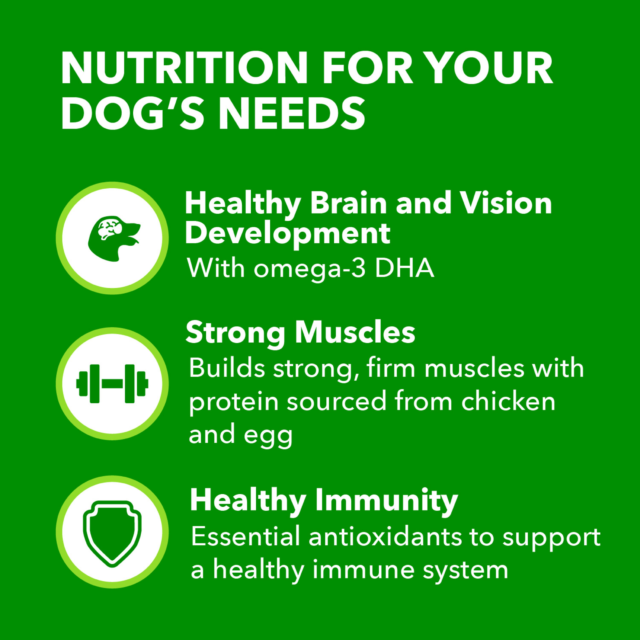 Iams Proactive Health Chicken And Whole Grain Recipe Dry Dog Food For Puppies, 15 Lb Bag - Image 9
