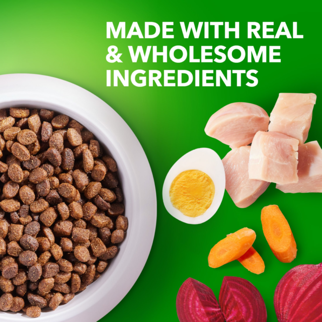 Iams Proactive Health Chicken And Whole Grain Recipe Dry Dog Food For Puppies, 15 Lb Bag - Image 5