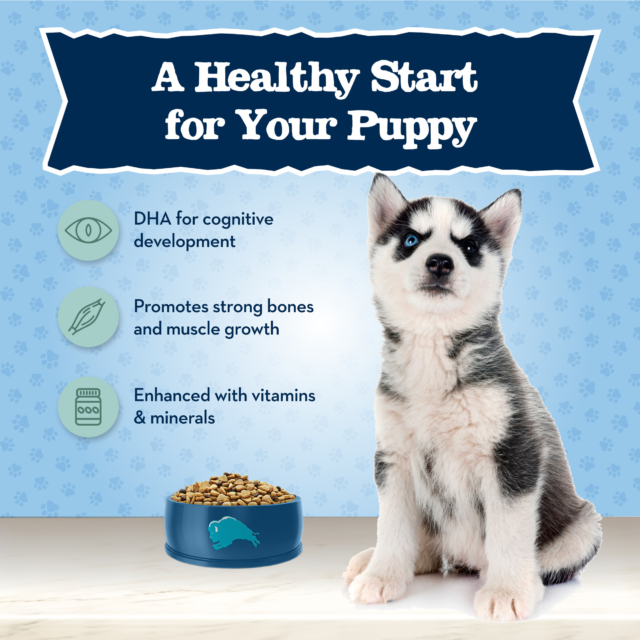 Blue Buffalo Baby BLUE Healthy Growth Puppy Dry Food, High-Protein Chicken - Image 5