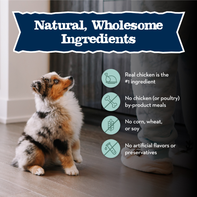 Blue Buffalo Baby BLUE Healthy Growth Puppy Dry Food, High-Protein Chicken - Image 3
