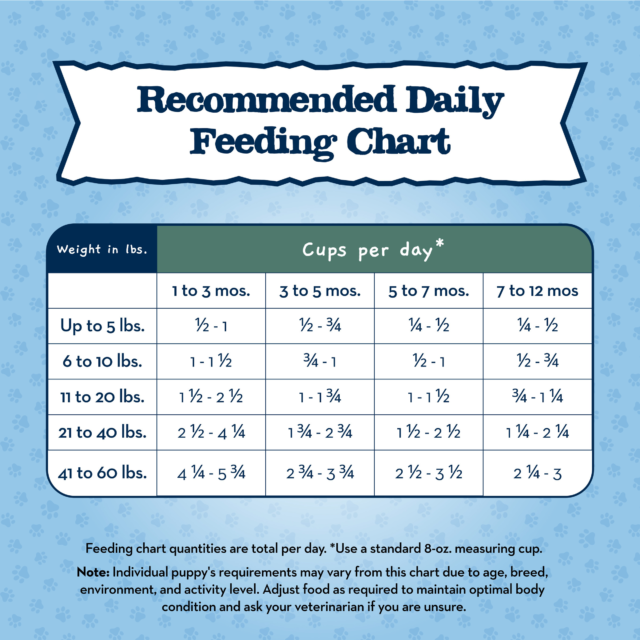 Blue Buffalo Baby BLUE Healthy Growth Puppy Dry Food, High-Protein Chicken - Image 2