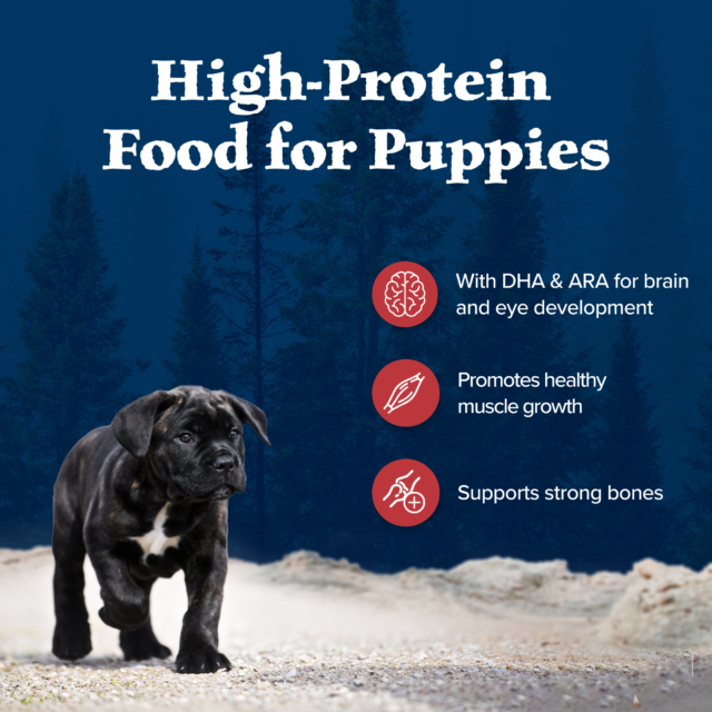Blue Buffalo Wilderness Natural Dry Puppy Food, Red Meat & Whole Grains - Image 6