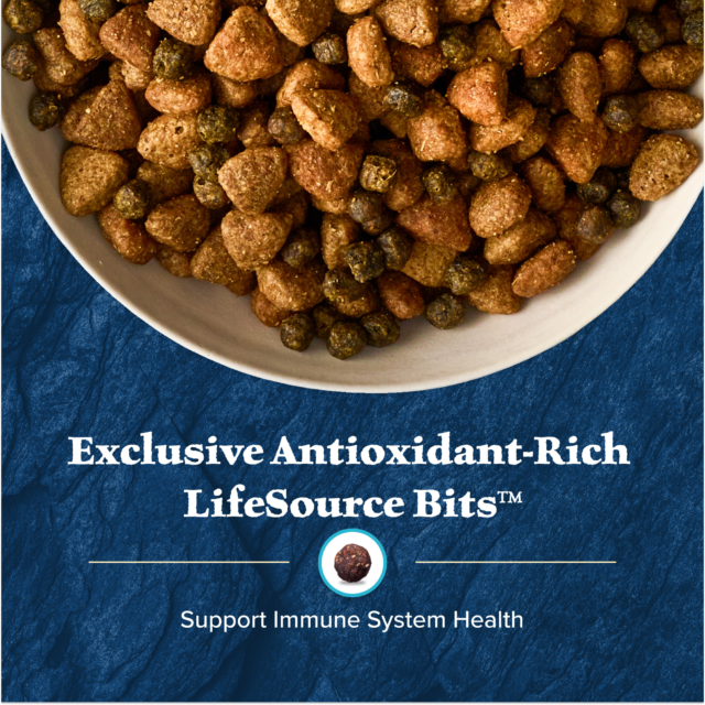 Blue Buffalo Wilderness Natural Dry Puppy Food, Red Meat & Whole Grains - Image 3