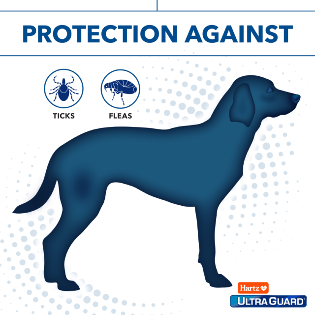 Hartz UltraGuard Flea & Tick Collar for Dogs and Puppies, 7 months Protection, (4 pack) - Image 5