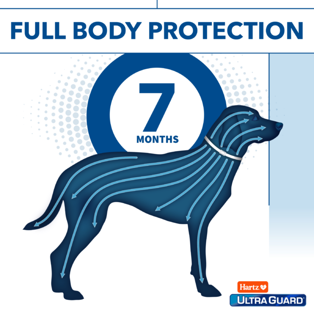 Hartz UltraGuard Flea & Tick Collar for Dogs and Puppies, 7 months Protection, (4 pack) - Image 4